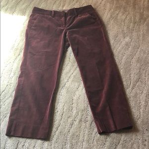 Velvet Anthropologie Louie pants